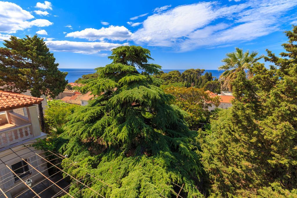 Hedera Estate, House Hedera V Villa Dubrovnik Dış mekan fotoğraf